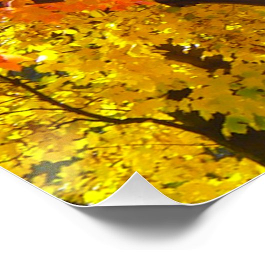 Herbstblätter aus Gelb- und Orangenbäumen, Foto Poster (Ecke)