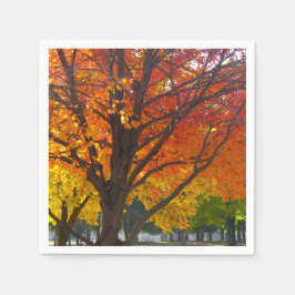 Herbstblätter aus Gelb- und Orangenbäumen, Foto Serviette