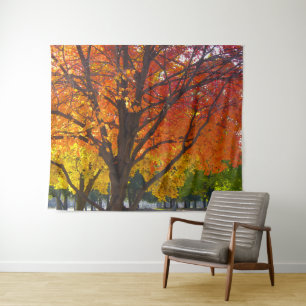 Herbstblätter aus Gelb- und Orangenbäumen, Foto Wandteppich