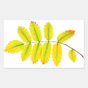 Herbstblätter aus Rowan Rechteckiger Aufkleber