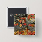 Herbstblätter aus Steinmauer, Minute Man Button (Vorne & Hinten)