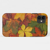 Herbstblätter Case-Mate iPhone Hülle (Rückseite (Horizontal))