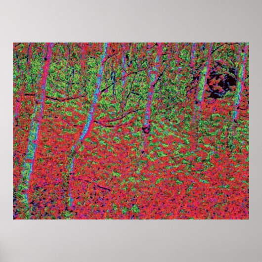 Herbstblätter d5 poster (Vorne)