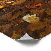 Herbstblätter entlang Blick Glass Creek im Poster (Ecke)