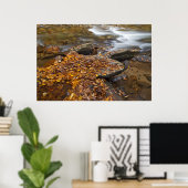 Herbstblätter entlang Blick Glass Creek im Poster (Heimbüro)