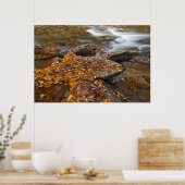 Herbstblätter entlang Blick Glass Creek im Poster (Küche)