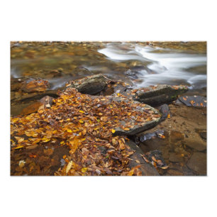 Herbstblätter entlang der Glashütte im Glass Fotodruck