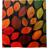 Herbstblätter fallen farbenfrohe Natur Saisonblatt Duschvorhang (Vorderseite)