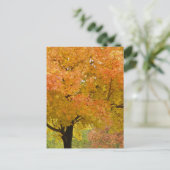 Herbstblätter fallen Postkarte (Stehend Vorderseite)