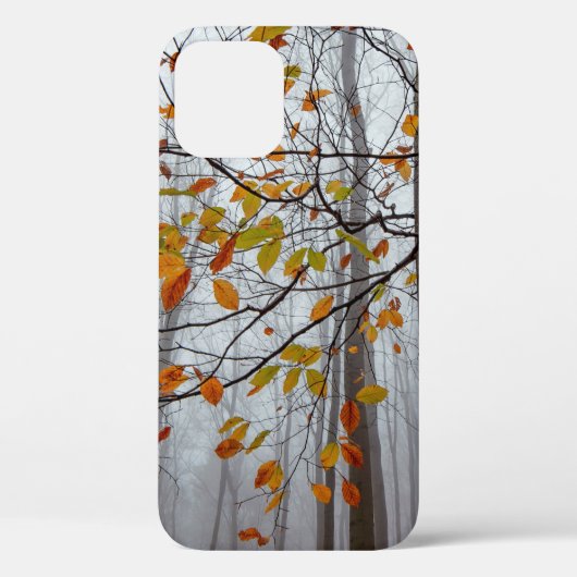 Herbstblätter fallen unter Waldblatt Case-Mate iPhone Hülle (Rückseite)