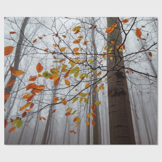 Herbstblätter fallen unter Waldblatt Geschenkpapier (Flach)