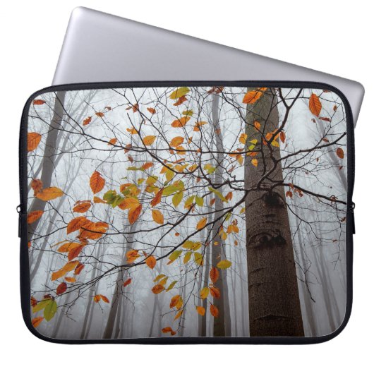 Herbstblätter fallen unter Waldblatt Laptopschutzhülle (Vorderseite)