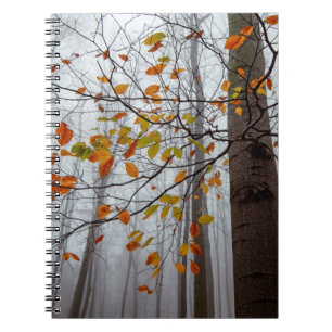 Herbstblätter fallen unter Waldblatt Notizblock