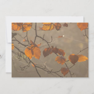Herbstblätter Feiertagskarte