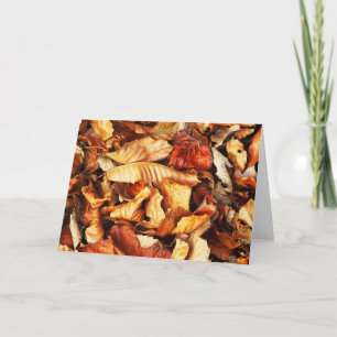 Herbstblätter Feiertagskarte