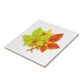 Herbstblätter Fliese (Seite)