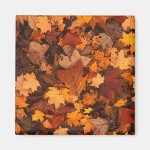 Herbstblätter-Foto Magnet