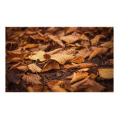 Herbstblätter Fotodruck (Vorne)