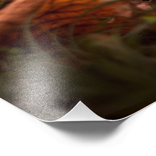 Herbstblätter Fotodruck (Ecke)