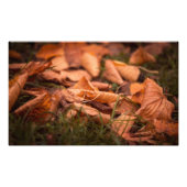 Herbstblätter Fotodruck (Vorne)