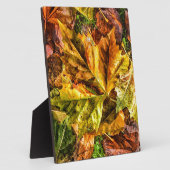 Herbstblätter Fotoplatte (Seite)