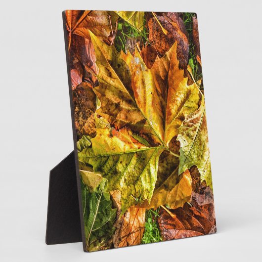 Herbstblätter Fotoplatte (Seite)