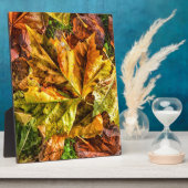 Herbstblätter Fotoplatte (Seite)