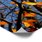Herbstblätter gegen blauen Himmel Poster (Ecke)