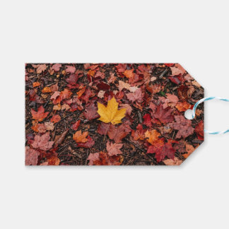 Herbstblätter geschenkanhänger