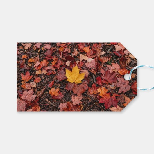 Herbstblätter geschenkanhänger (Vorderseite (Horizontal))