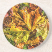 Herbstblätter Getränkeuntersetzer (Vorne)