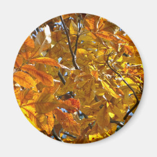 Herbstblätter Gold Geschenke Bekleidung Sammelobje Magnet
