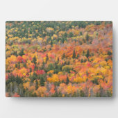 Herbstblätter | Halbinsel Keweenaw, Michigan Fotoplatte (Vorderseite)