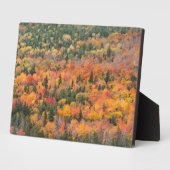 Herbstblätter | Halbinsel Keweenaw, Michigan Fotoplatte (Seite)