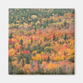 Herbstblätter | Halbinsel Keweenaw, Michigan Magnet (Vorne)