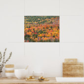 Herbstblätter | Halbinsel Keweenaw, Michigan Poster (Küche)