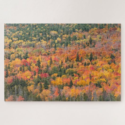 Herbstblätter | Halbinsel Keweenaw, Michigan Puzzle (Horizontal)