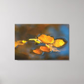 Herbstblätter im See Leinwanddruck (Vorderseite)