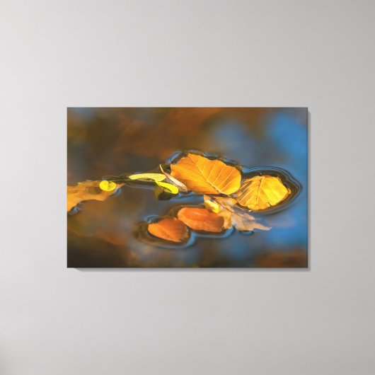 Herbstblätter im See Leinwanddruck (Vorderseite)