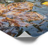 Herbstblätter im Waldbachposter Poster (Ecke)