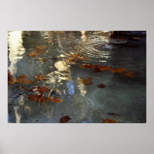 Herbstblätter in der Provence Poster (Vorne)