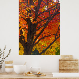 Herbstblätter in Gelb und Orange, Vertikal ZSSPG Poster