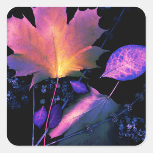 Herbstblätter in Neon Quadratischer Aufkleber