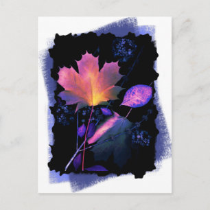 Herbstblätter in Neon und Blau Postkarte