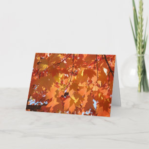 Herbstblätter individuelle Grußkarten Herbstbäume Karte