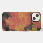 Herbstblätter iPhone Hülle (Rückseite (Horizontal))