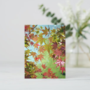 Herbstblätter: Japan Postkarte