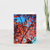 Herbstblätter Karte (Vorderseite)