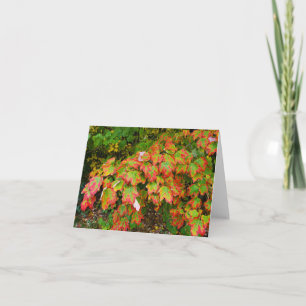 Herbstblätter Karte