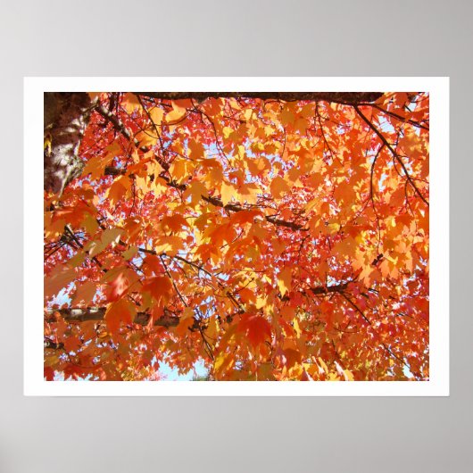 Herbstblätter Kunst Drucke Herbst Kunst Drucke Lei (Vorne)